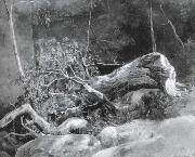 The Fallen Branch,Fontainebleau